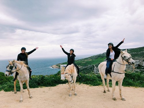 Balade à cheval le long des falaises de Malte en hiver